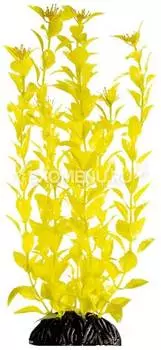 Растение "Людвигия" ярко-желтая, 400мм, Laguna