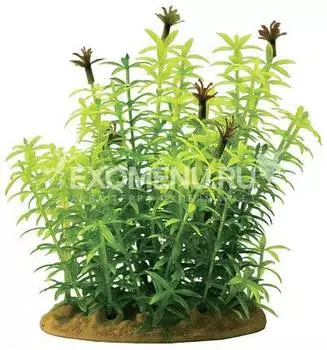 Растение пластиковое PRIME Гигрофила 15см