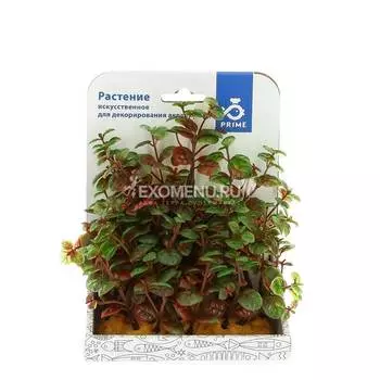 Растение пластиковое PRIME Людвигия 15см