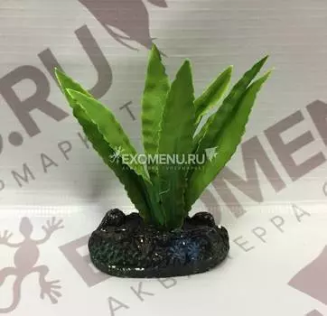 Растение шелковое "Апоногетон", 70мм, (пакет)