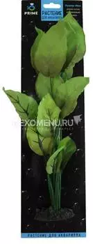 Растение шелковое PRIME Анубиас Бартера 40см
