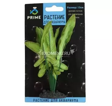 Растение шелковое PRIME Анубиас Хастифолия 13см