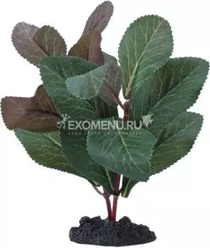 Растение шелковое PRIME Гигрофила 40см