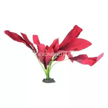 Растение шелковое PRIME Эхинодорус Кляйн Бер 13см