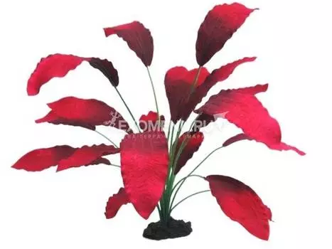 Растение шелковое PRIME Эхинодорус Кляйн Бер 40см