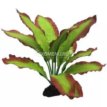 Растение шелковое PRIME Эхинодорус Розеа 13см
