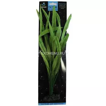 Растение шелковое PRIME Криптокорина Балансе 20см