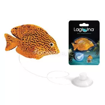 Рыбка декоративная 5004LD "Гурами", 97*140*25мм, (блистер)