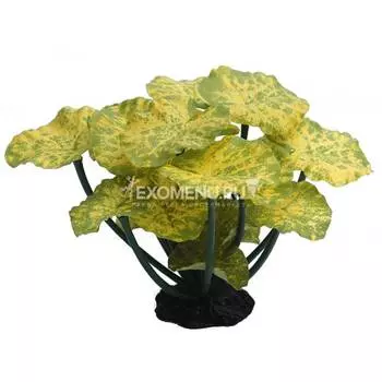 Шелковое растение "Нимфея желто-зеленая" 25*20*16см (B81040 Y)
