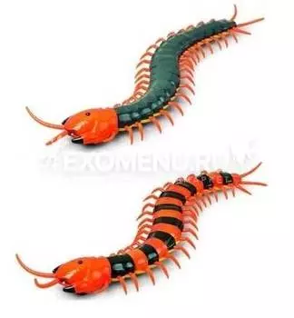 Сороконожка Scolopendra на Р/У в коробке
