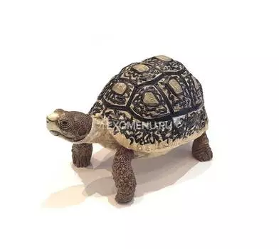 Сувенир черепаха пантеровая