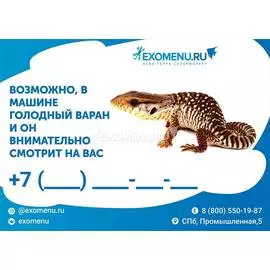 Табличка для машины (варан)