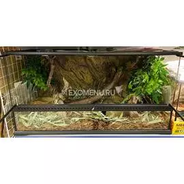 Террариумный комплект №288