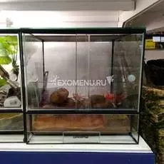 Террариумный комплект для эублефара "Красная пустыня"