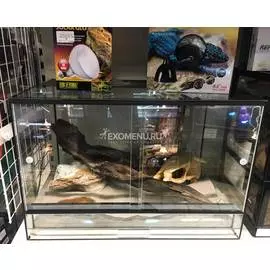 Террариумный комплект для бородатой агамы "Каньон Колорадо"