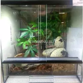 Террариумный комплект для змеи "Эра динозавров"