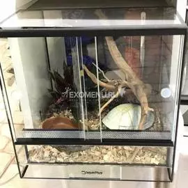 Террариумный комплект для змей "Панцирь черепахи"