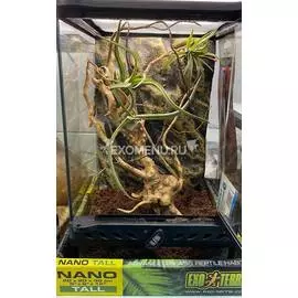 Террариумный комплект "Дворец богомола"