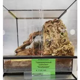 Террариумный комплект "Кембридж"