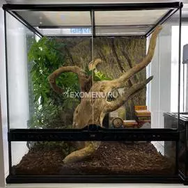 Террариумный комплект "Колумбийские просторы"