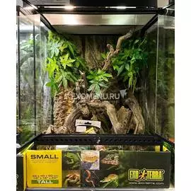 Террариумный комплект "Лунный лес"