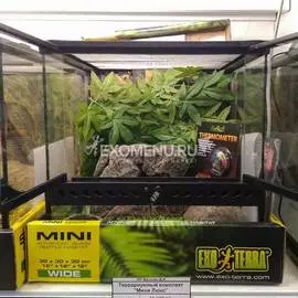 Террариумный комплект "Мини Люкс"