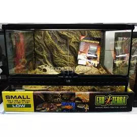 Террариумный комплект "Пересохшее болото"