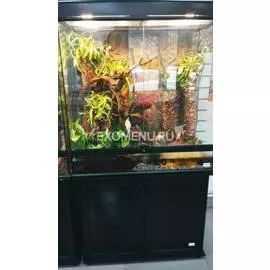 Террариумный комплект с растениями