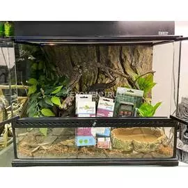 Террариумный комплект "Солнечный дом"