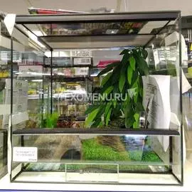 Террариумный комплект "Зеленый сад"