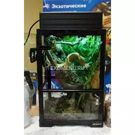 Террариумный набор для реснитчатого бананоеда