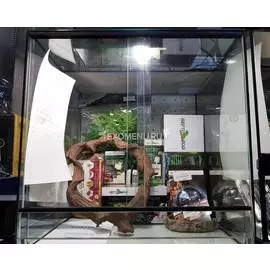 Террариумный набор "Джунгли 45" стандарт