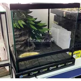 Террариумный набор "Исландское взморье"