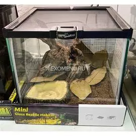 Террариумный набор "Листопад"