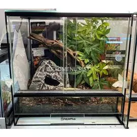 Террариумный набор "Окраина леса"