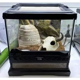 Террариумный набор "Пустыня Гоби"