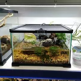 Террариумный набор "Розовый каньон"