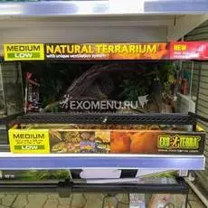 Террариумный набор "Змеиное логово"