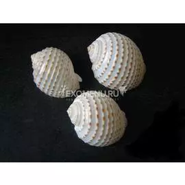 Тонна крапинка №3