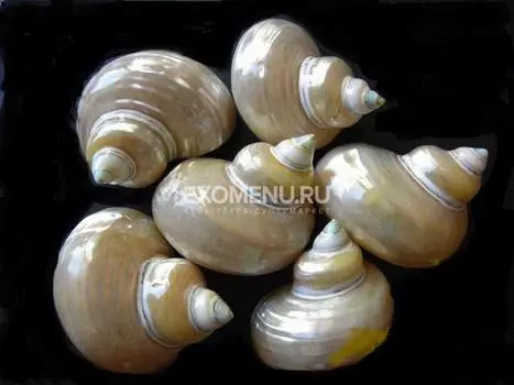 Турбо Голд перламутровый 2"