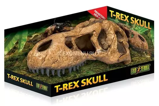 Убежище-декор Череп тираннозавра Рекса для террариума