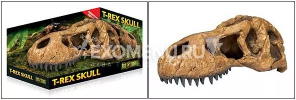 Убежище-декор Череп тираннозавра Рекса малый для террариума
