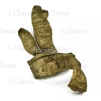 UDeco Bamboo root S - Натуральная коряга "Корень бамбука гладкий" для оформления аквариумов и террариумов, 1 шт.