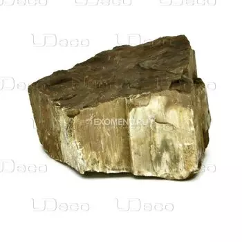 UDeco Fossilized Wood Stone L - Натуральный камень "Окаменелое дерево" для оформления аквариумов и террариумов, 1 шт.