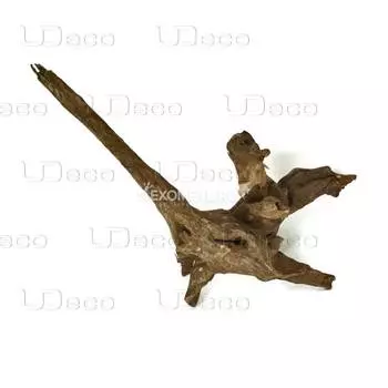 UDeco Oak Root M - Натуральная коряга "Дуб дизайнерский" для оформления аквариумов и террариумов, вес 1,5-3 кг, цена за 1 кг