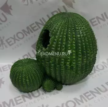 Укрытие для рептилий КАКТУС большое