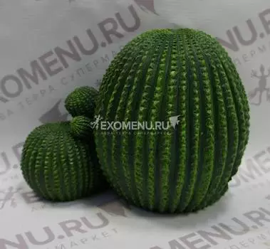 Укрытие для рептилий КАКТУС малое