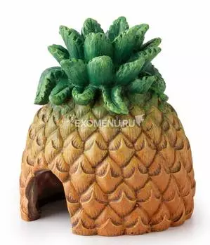 Укрытие в виде ананаса