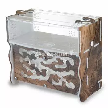 Вертикальная муравьиная ферма Level "Дерево"