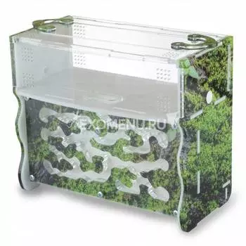 Вертикальная муравьиная ферма Level "Горный мох"